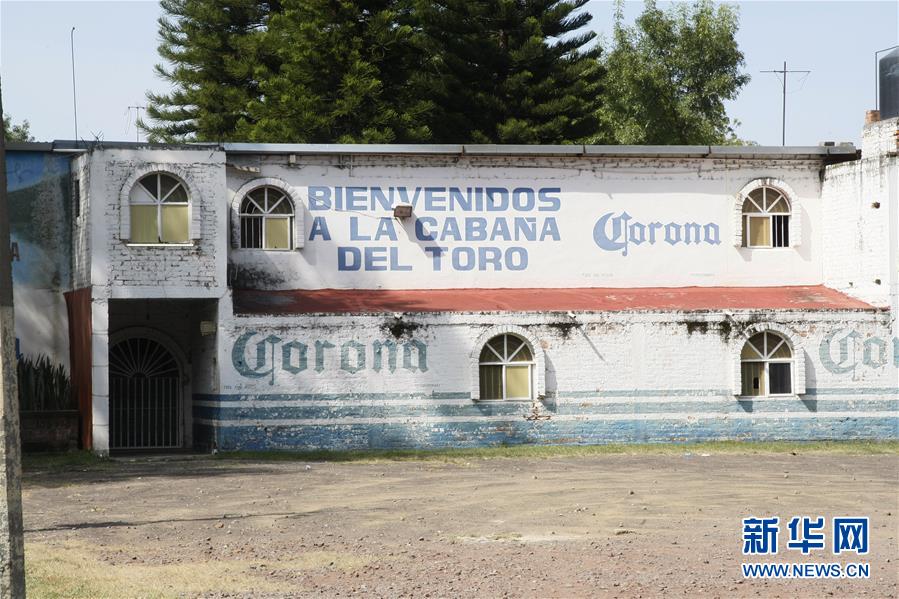 （国际）（2）墨西哥一酒吧遭袭11人死亡