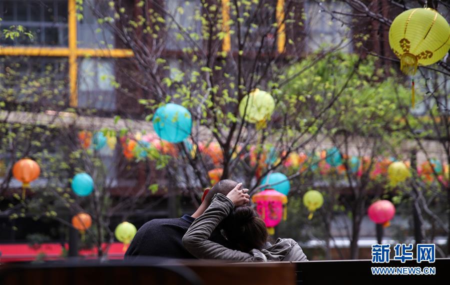 （国际）（1）悉尼：张灯结彩迎中秋