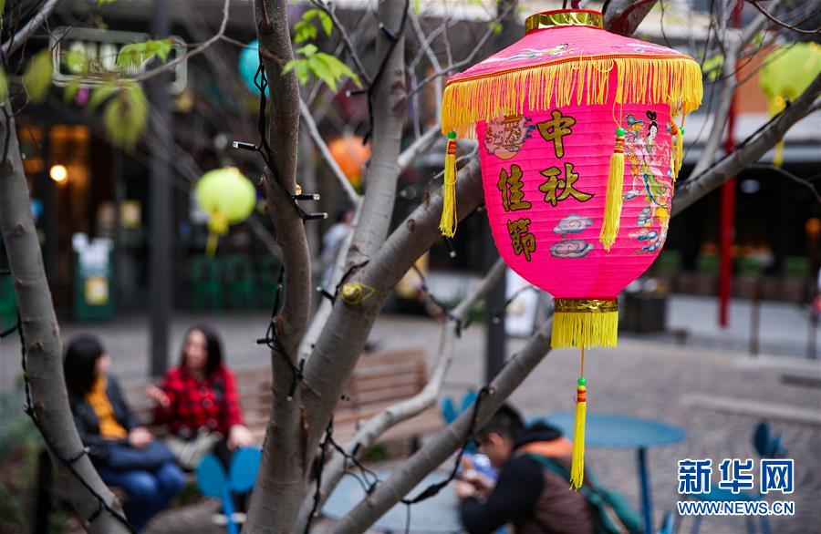 （国际）（5）悉尼：张灯结彩迎中秋