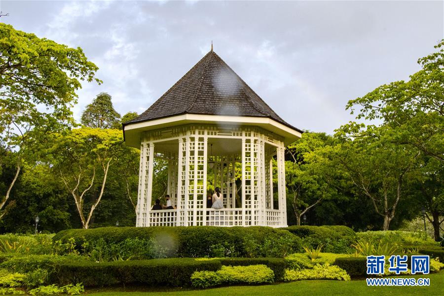 （国际）（1）新加坡植物园上空的彩虹