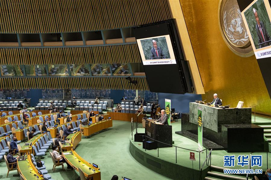 （国际）（1）联合国秘书长呼吁加大生物多样性保护力度