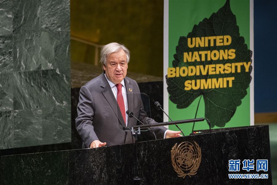 （国际）（2）联合国秘书长呼吁加大生物多样性保护力度