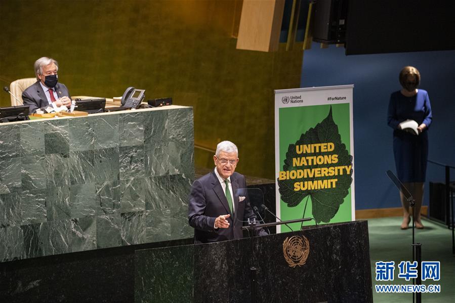 （国际）（1）联合国举行生物多样性峰会