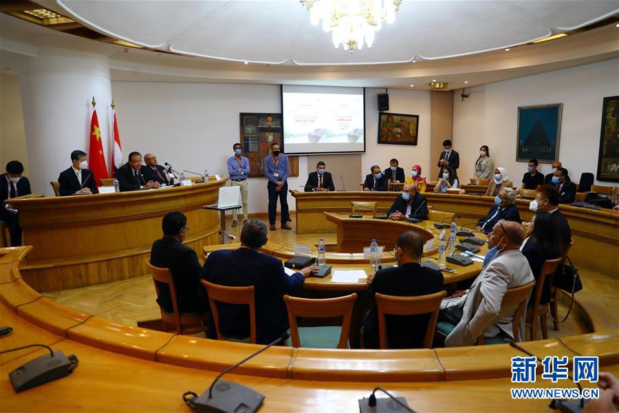 (国际·图文互动)埃及文化部举办“中埃文化关系”专题研讨会