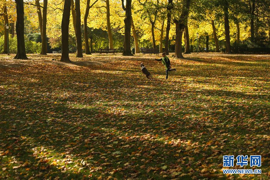 （国际）（6）比利时：秋天的色彩