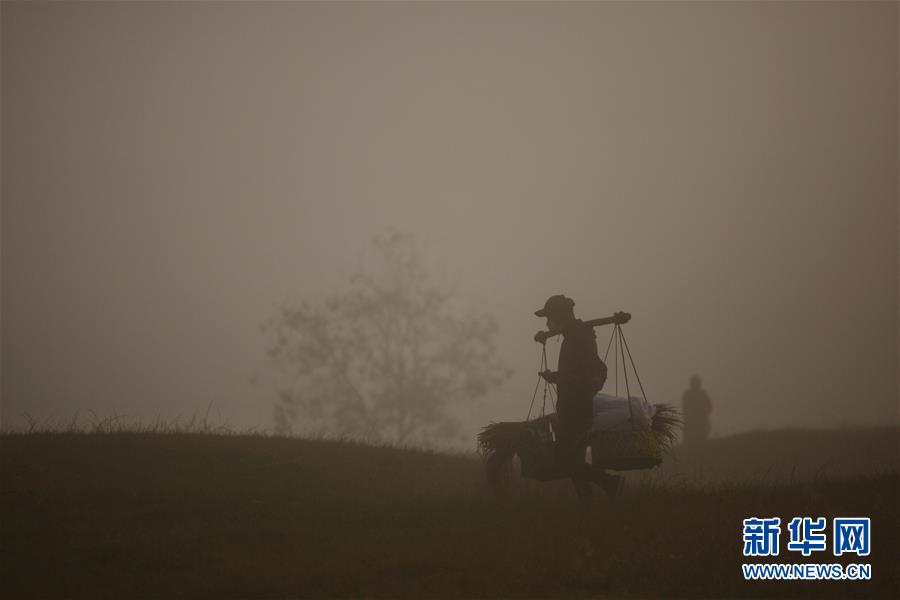 （XHDW）（1）秋日晨雾