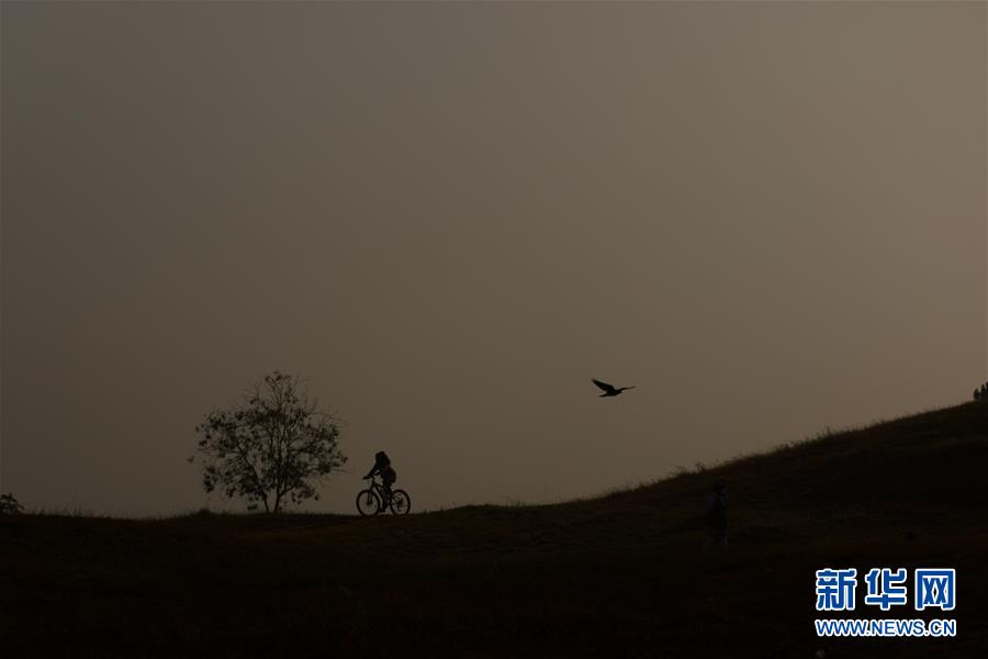 （XHDW）（3）秋日晨雾