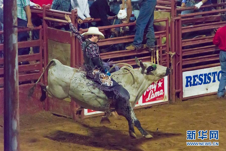（国际）（1）美国得州登顿举行牛仔节