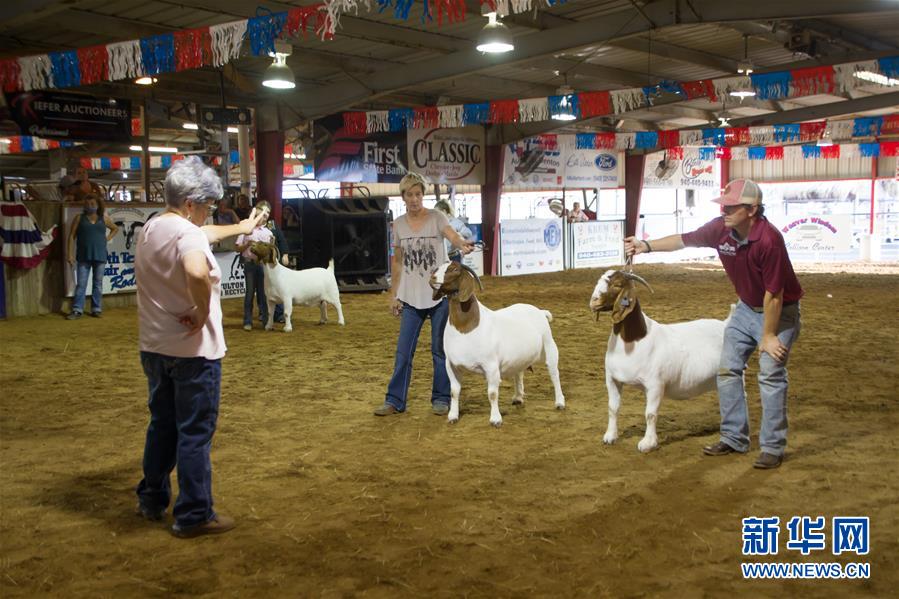 （国际）（2）美国得州登顿举行牛仔节