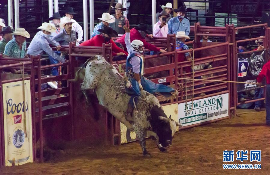 （国际）（3）美国得州登顿举行牛仔节
