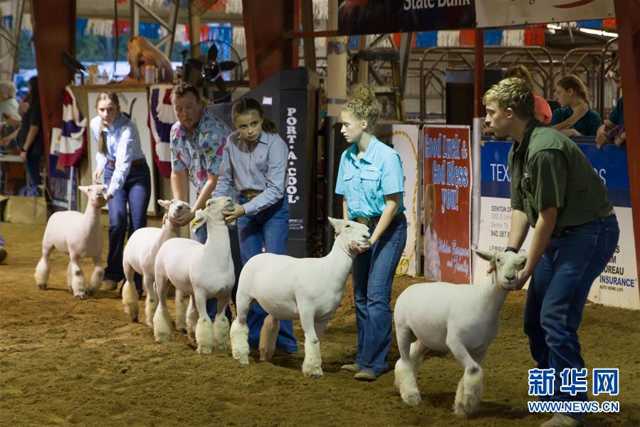 （国际）（7）美国得州登顿举行牛仔节