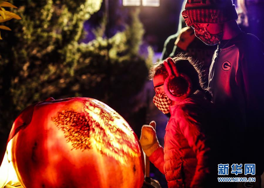 （国际）（1）美国芝加哥植物园举办南瓜灯展