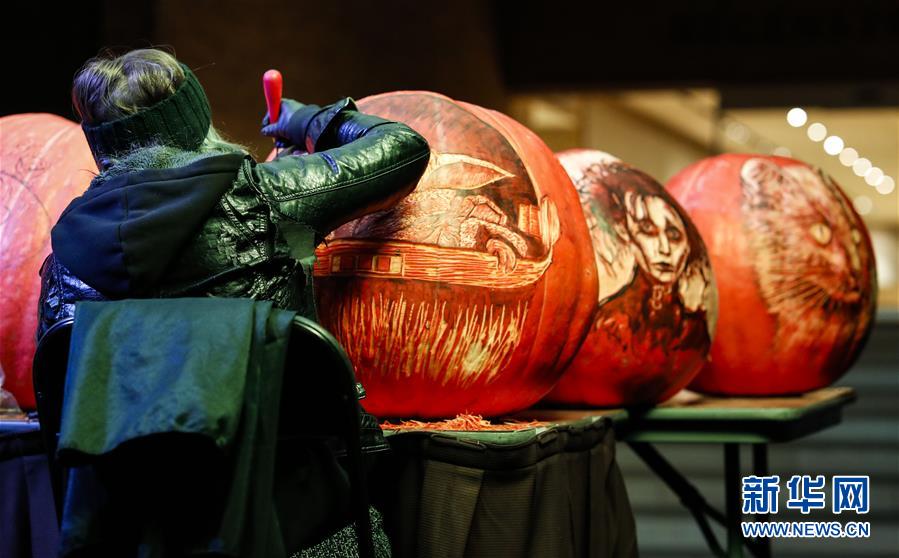 （国际）（3）美国芝加哥植物园举办南瓜灯展