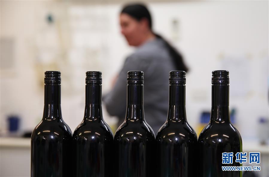 （国际&middot;第三届进博会）（2）澳洲小酒企期待中国大市场