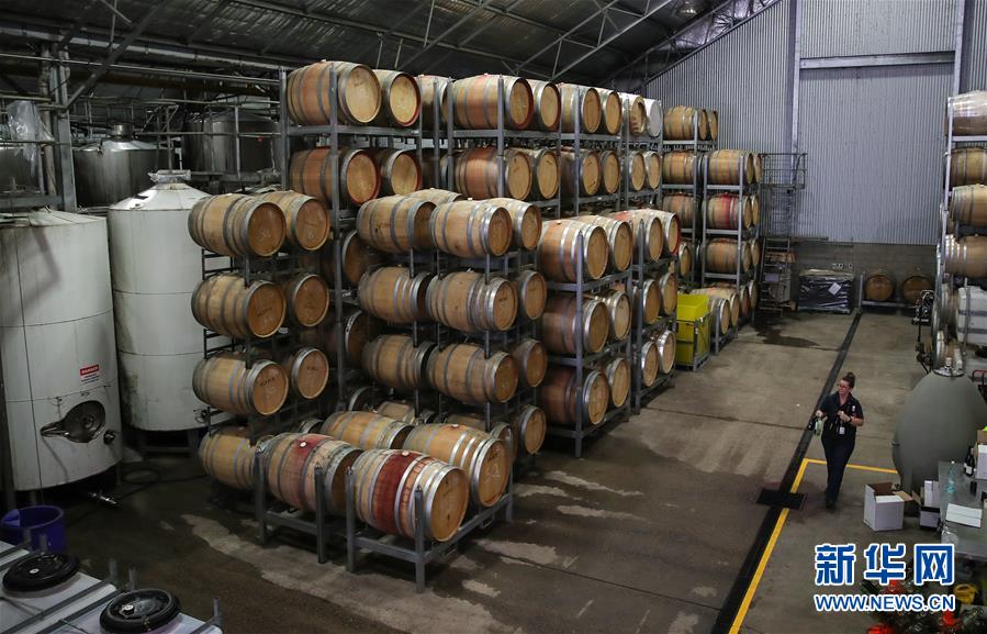 （国际&middot;第三届进博会）（4）澳洲小酒企期待中国大市场