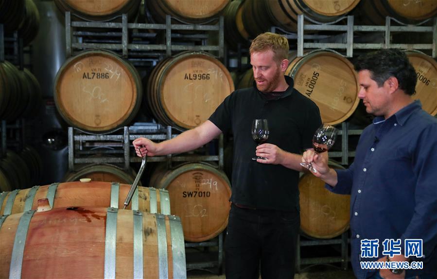（国际&middot;第三届进博会）（6）澳洲小酒企期待中国大市场