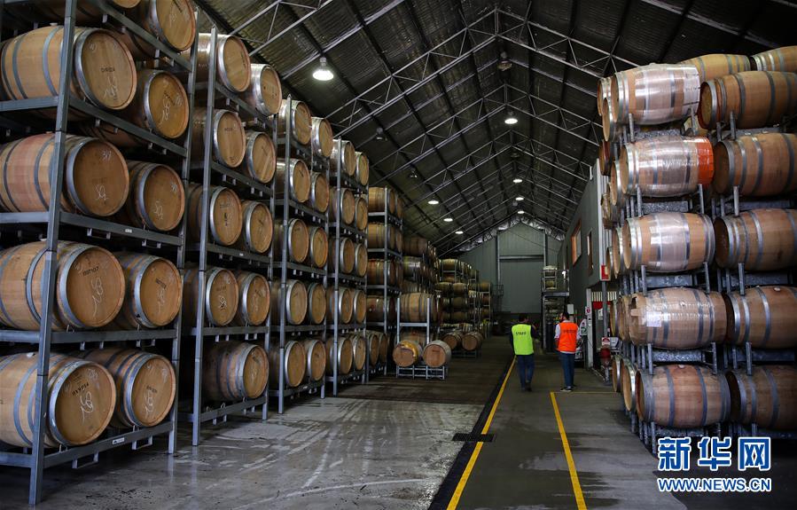 （国际&middot;第三届进博会）（7）澳洲小酒企期待中国大市场