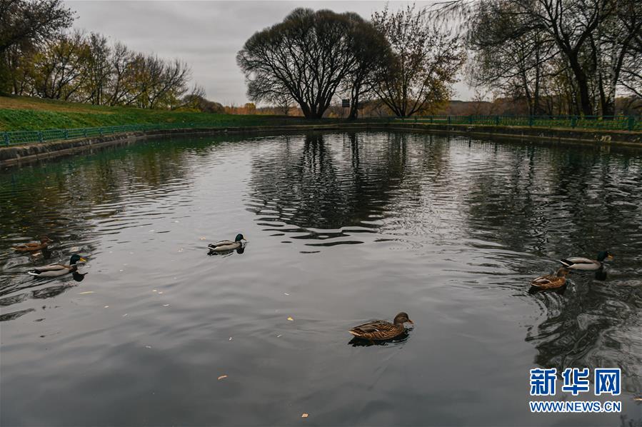 （国际）（3）科罗缅斯克庄园秋色