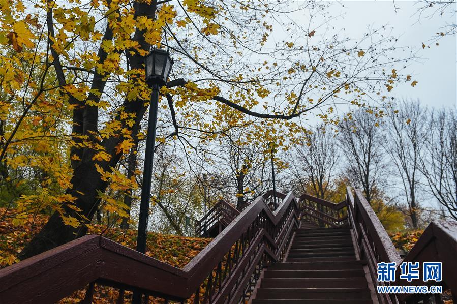 （国际）（6）科罗缅斯克庄园秋色