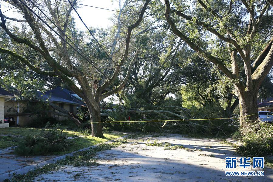 （國際）（5）颶風“澤塔”登陸美國南部至少6人死亡
