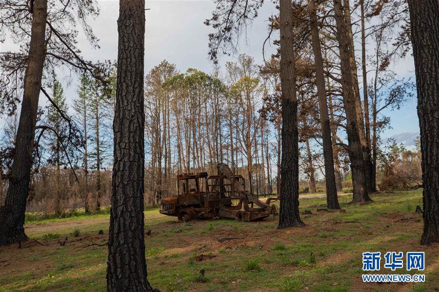 （国际）（1）澳大利亚发布林火灾害调查报告并提出改进建议