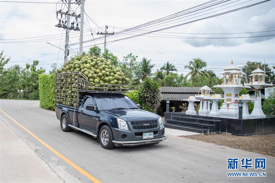 (第三届进博会·图文互动)(1)通讯:椰香飘进进博会 市场开放共繁荣——一名泰国椰商的心声