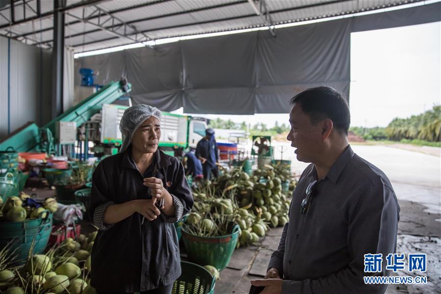 （第三屆進博會·圖文互動）（4）通訊：椰香飄進進博會 市場開放共繁榮——一名泰國椰商的心聲