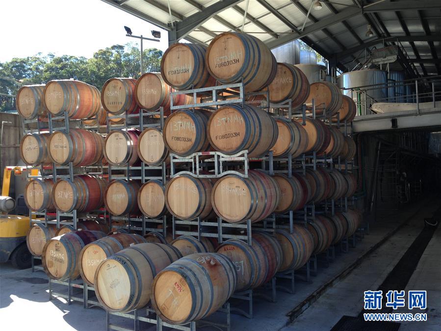 （第三屆進博會·圖文互動）（6）專訪：進博會是了解中國市場的好機會——訪澳大利亞諾瓦維塔葡萄酒集團創始人卡臣