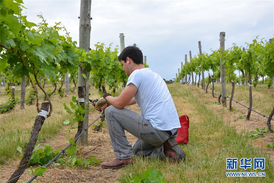 (第三届进博会·图文互动)(7)专访:进博会是了解中国市场的好机会——访澳大利亚诺瓦维塔葡萄酒集团创始人卡臣