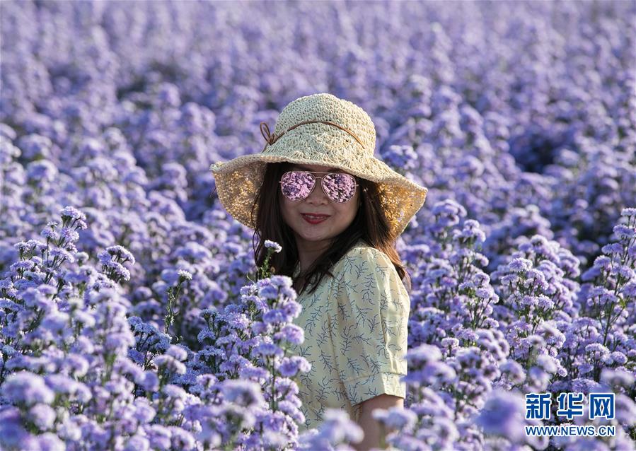 （国际）（2）泰国清迈花海引游人