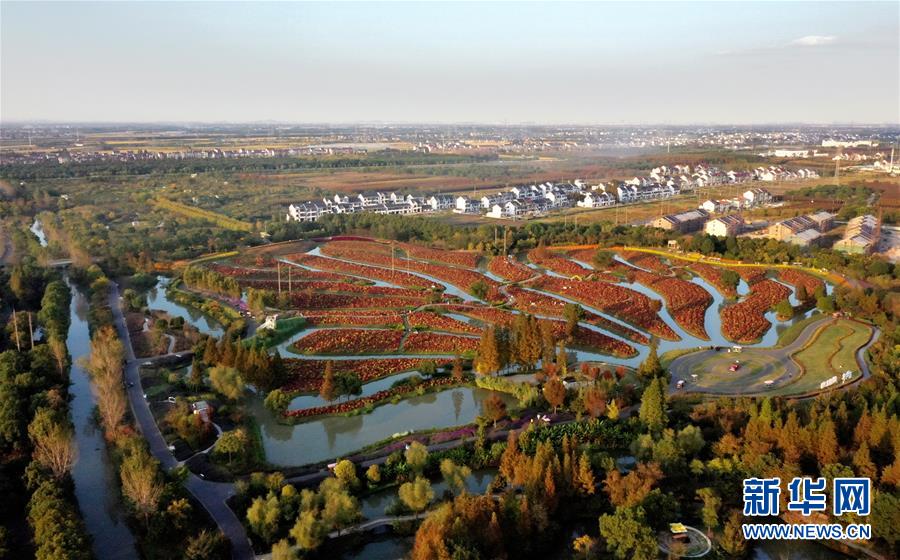 （第三届进博会）（4）进博会来了，美丽上海欢迎你