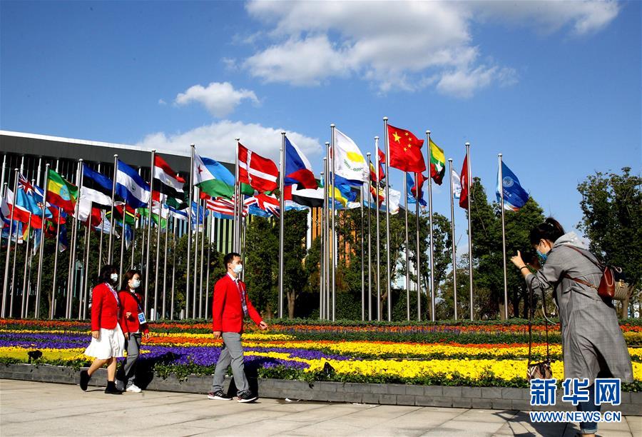 （第三届进博会）（13）进博会来了，美丽上海欢迎你