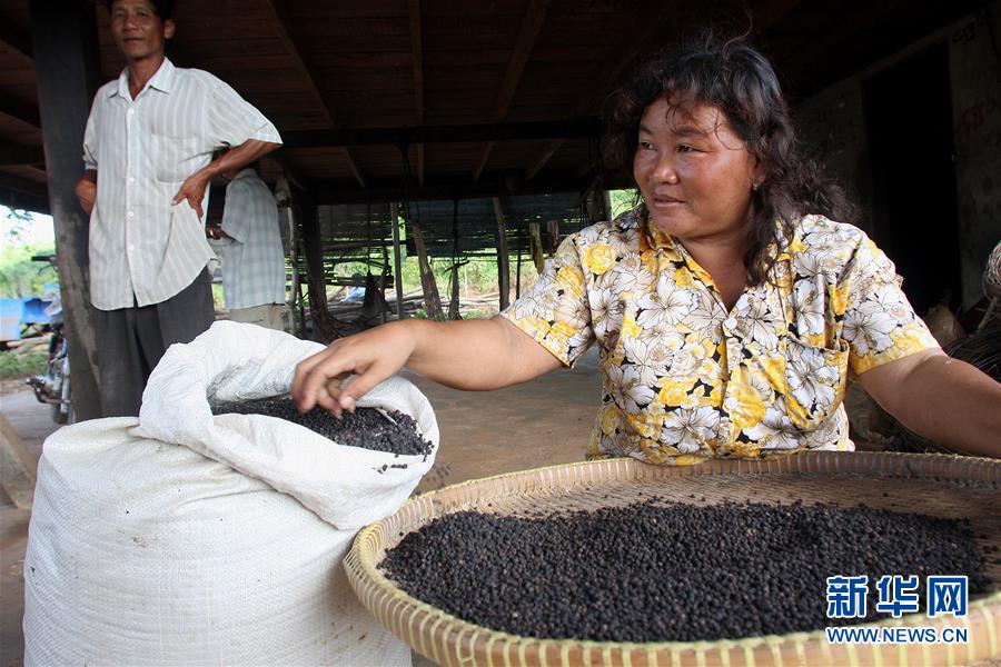 （国际&middot;第三届进博会）（7）柬埔寨贡布胡椒希望走上中国餐桌