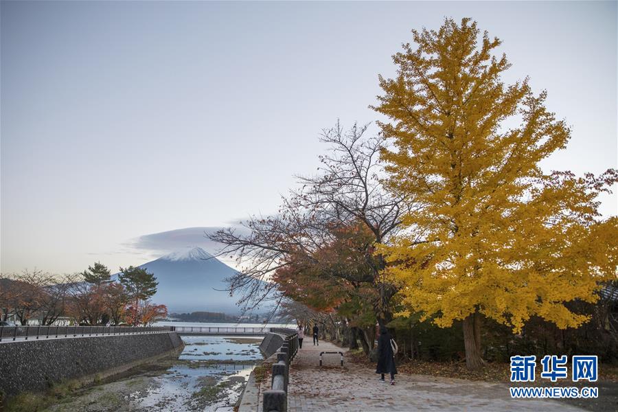 （国际）（4）富士山秋景