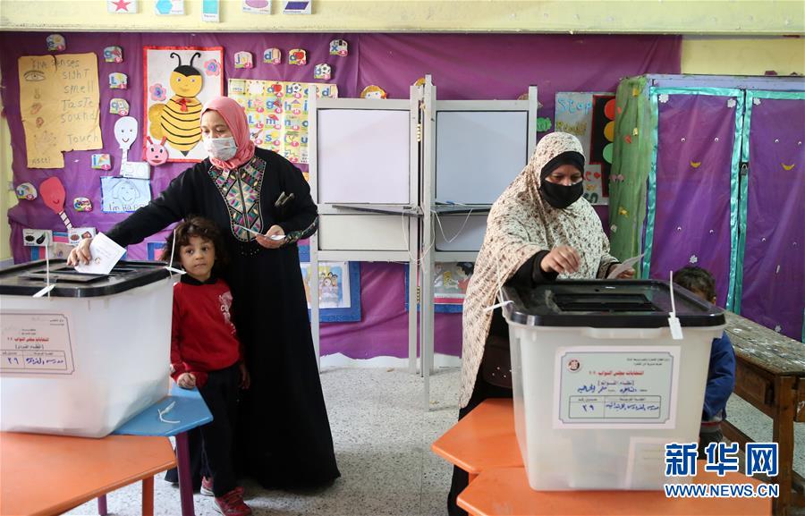 （国际）（1）埃及议会下院选举开始第二阶段国内投票