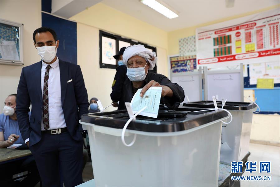 （国际）（3）埃及议会下院选举开始第二阶段国内投票
