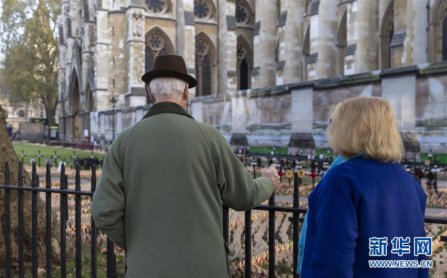 （新华视界）（3）纪念