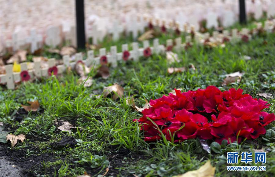 （新华视界）（5）纪念