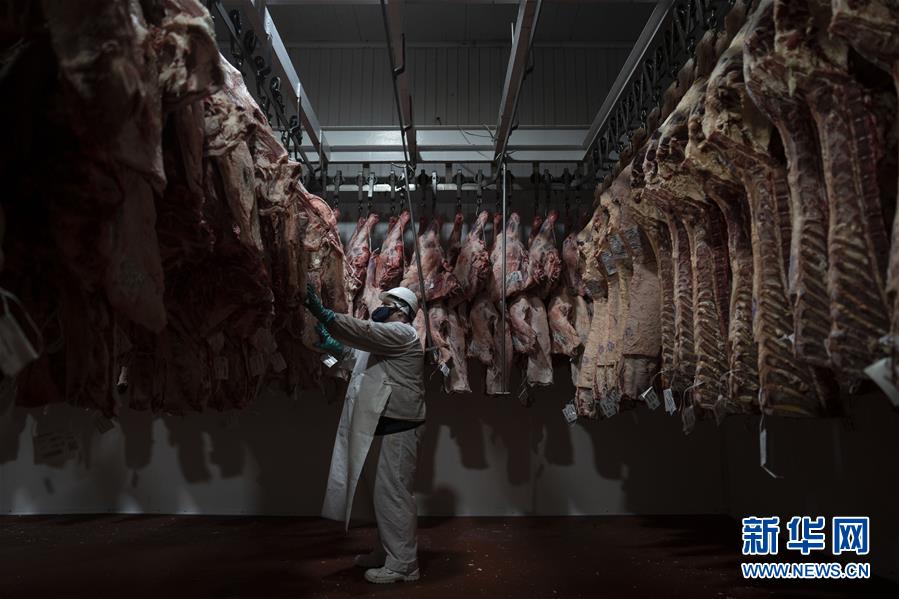 （国际）（5）阿根廷跨境电商&ldquo;备战&rdquo;中国&ldquo;双十一&rdquo;