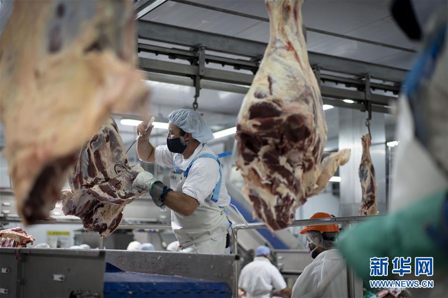 （国际）（6）阿根廷跨境电商&ldquo;备战&rdquo;中国&ldquo;双十一&rdquo;