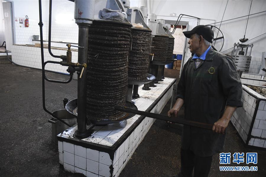 （XHDW）（2）突尼斯的橄榄油作坊