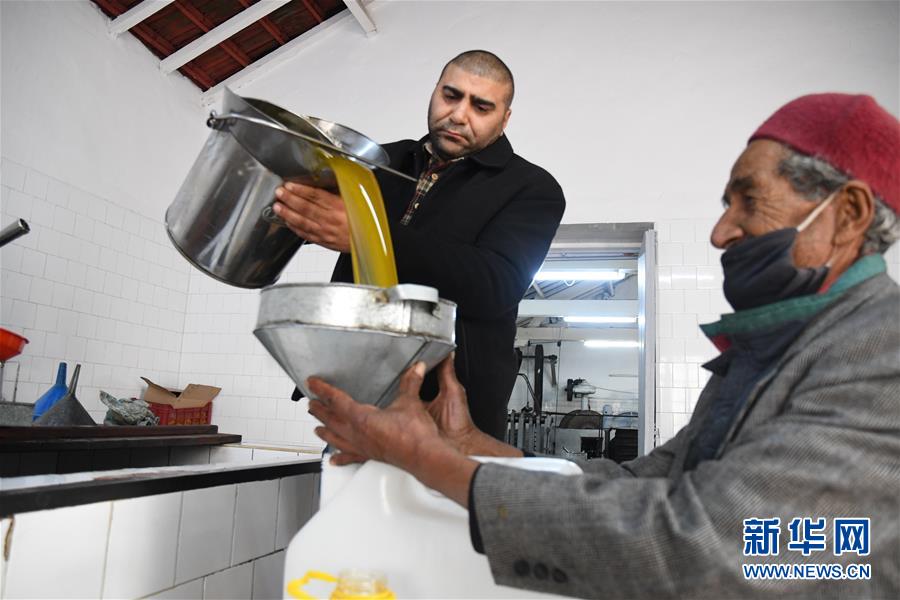 （XHDW）（3）突尼斯的橄榄油作坊