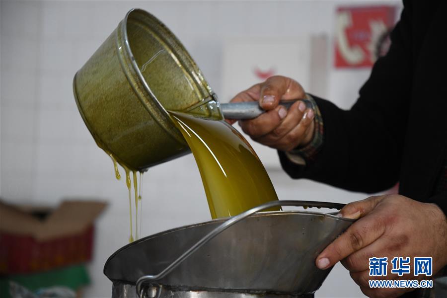（XHDW）（4）突尼斯的橄榄油作坊