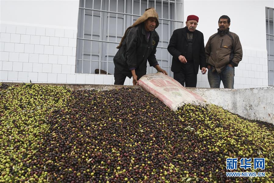 （XHDW）（7）突尼斯的橄榄油作坊