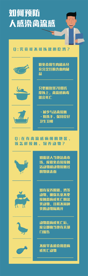 H5N8型禽流感传人 还能不能快乐吃鸡？