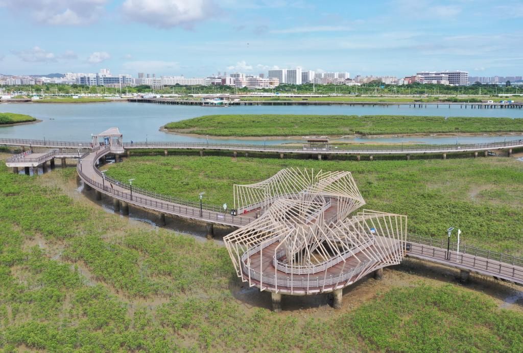 厦门对话福塔莱萨:“金砖双城” 向海而生