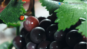 新时代 我在中国|进入“琉”光溢彩的世界