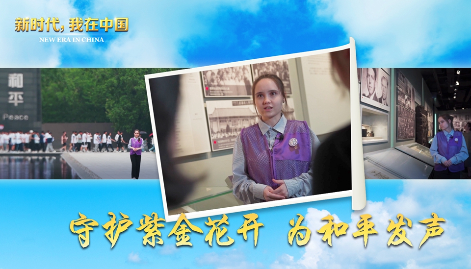 新时代 我在中国|守护紫金花开 为和平发声
