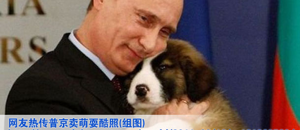 网友热传普京卖萌耍酷照(组图)