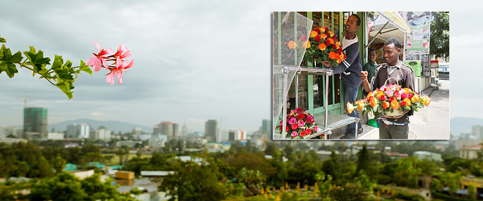 &ldquo;鲜花之城&rdquo;亚的斯亚贝巴